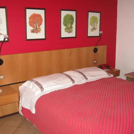Hotel Carrara 3*