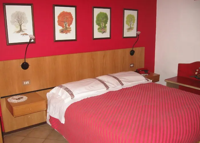 Hotel Carrara 3*